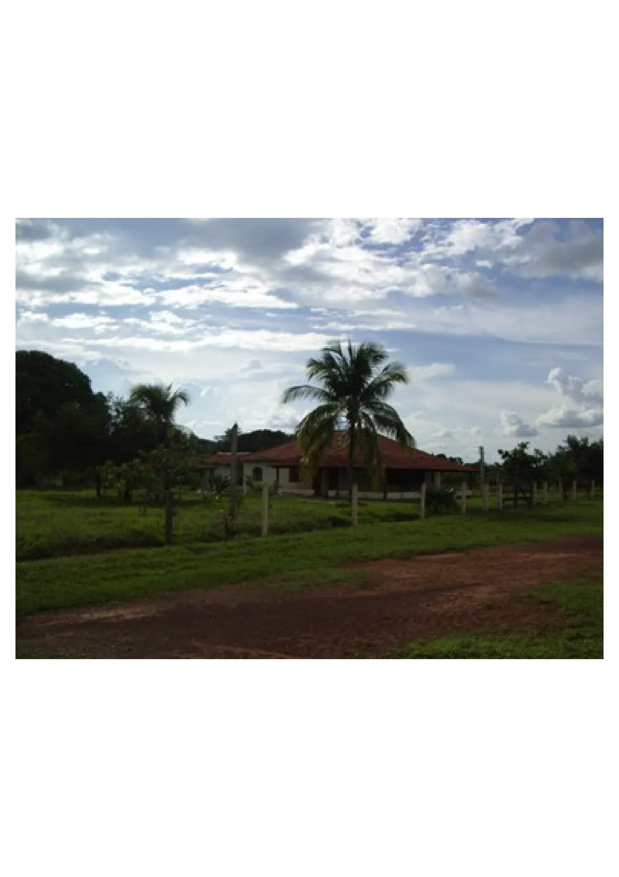 Fazenda à venda de 83.346 ha em São Félix do Araguaia, MT, Brasil