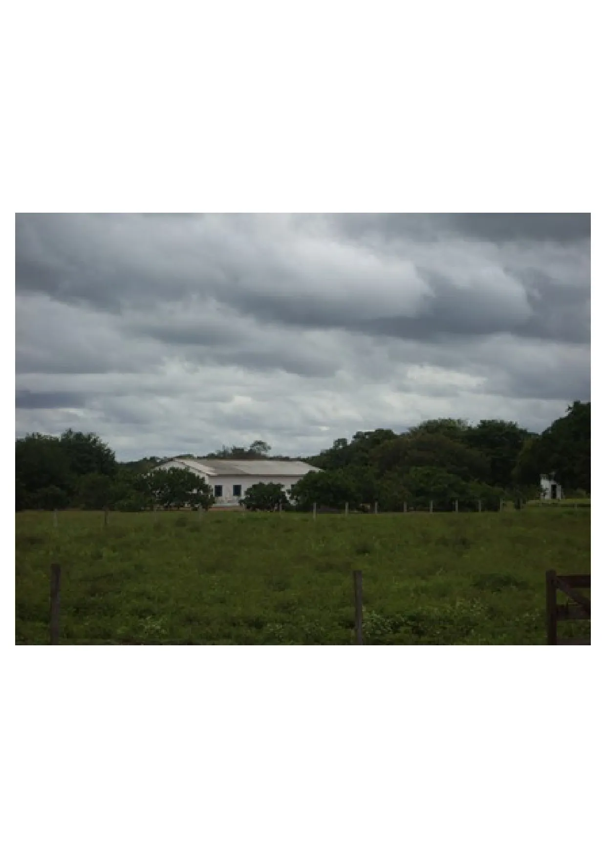 Fazenda à venda de 83.346 ha em São Félix do Araguaia, MT, Brasil