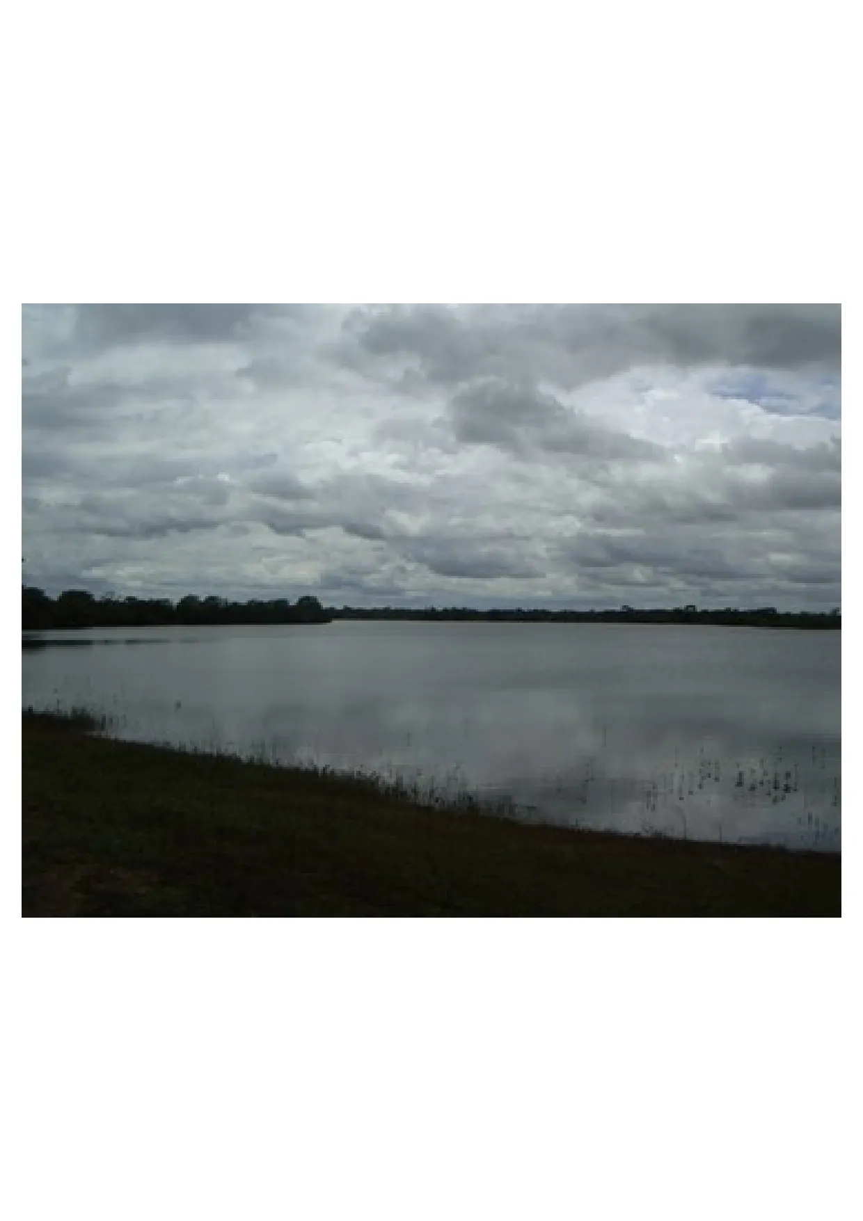 Fazenda à venda de 83.346 ha em São Félix do Araguaia, MT, Brasil