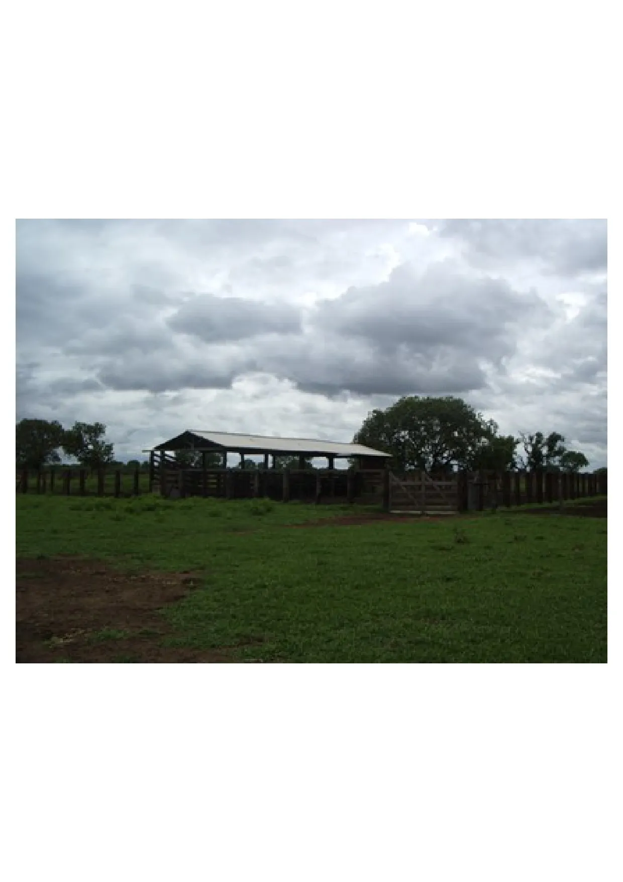 Fazenda à venda de 83.346 ha em São Félix do Araguaia, MT, Brasil