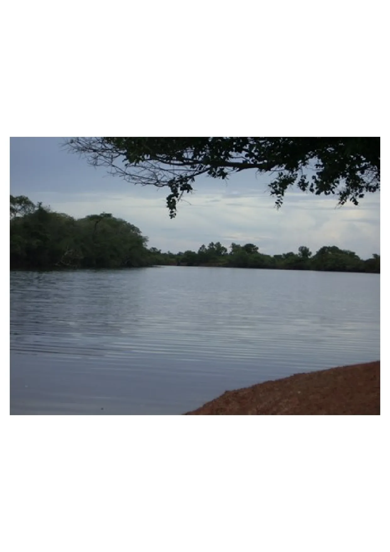Fazenda à venda de 83.346 ha em São Félix do Araguaia, MT, Brasil