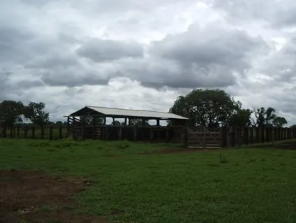 Fazenda à venda de 83.346 ha em São Félix do Araguaia, MT, Brasil