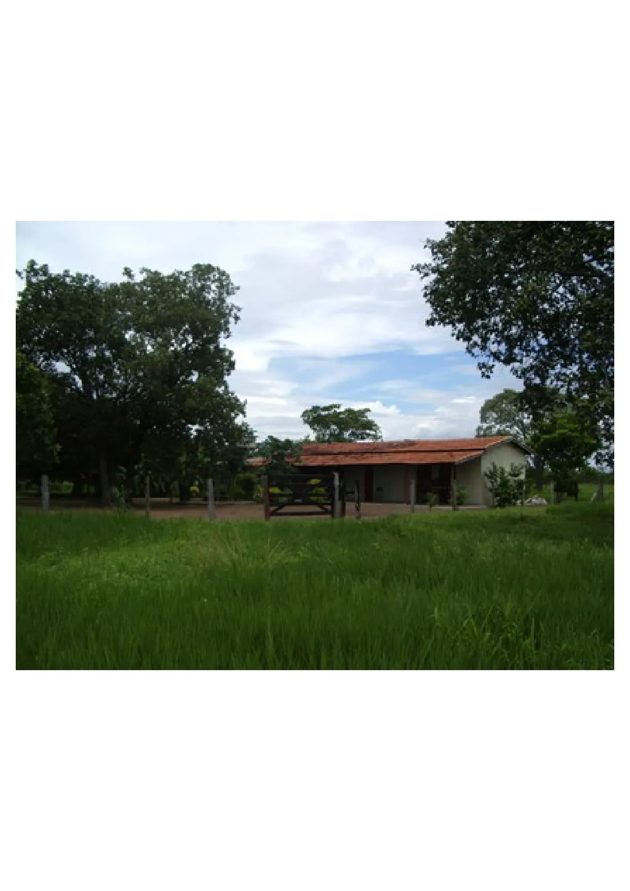 Fazenda à venda de 83.346 ha em São Félix do Araguaia, MT, Brasil