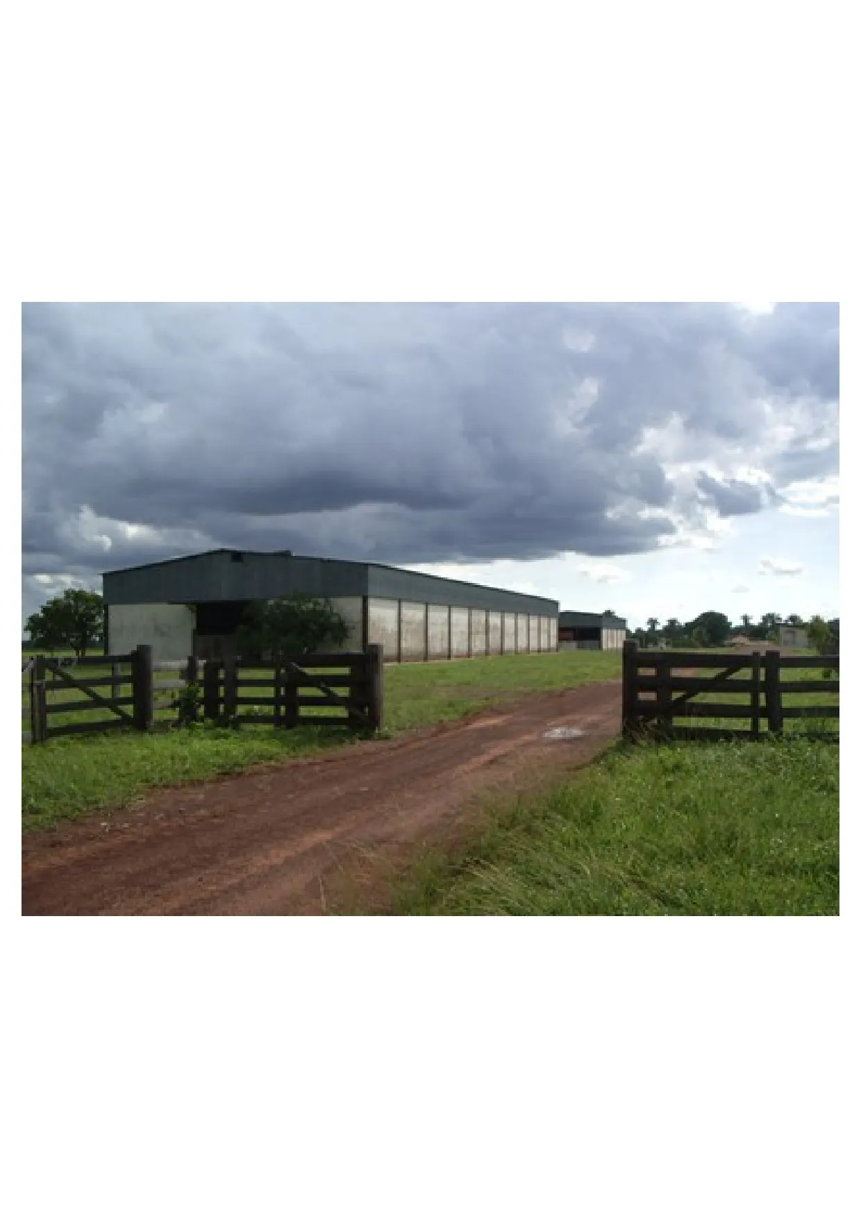 Fazenda à venda de 83.346 ha em São Félix do Araguaia, MT, Brasil