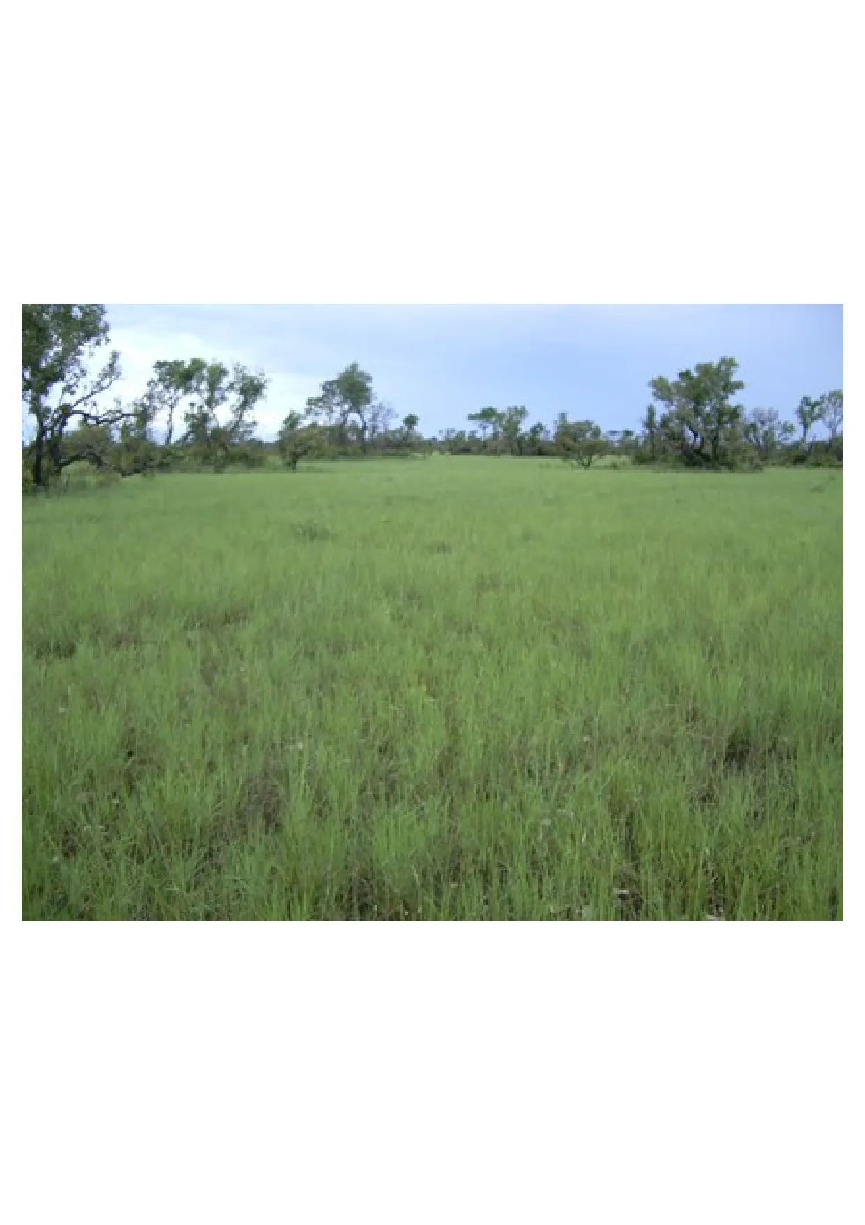 Fazenda à venda de 83.346 ha em São Félix do Araguaia, MT, Brasil