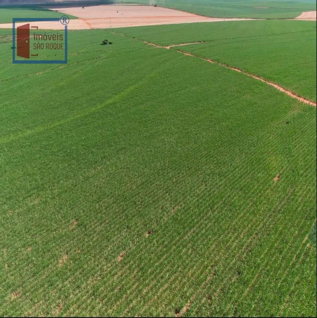 Fazenda à venda de 920 ha em Presidente Prudente, SP, Brasil