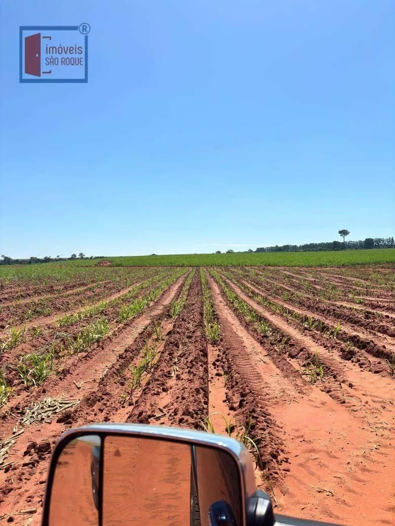 Fazenda à venda de 920 ha em Presidente Prudente, SP, Brasil