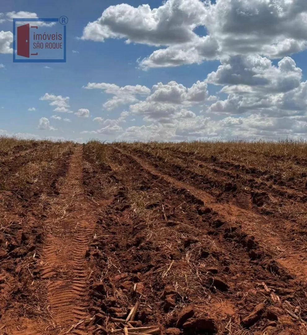 Fazenda à venda de 920 ha em Presidente Prudente, SP, Brasil