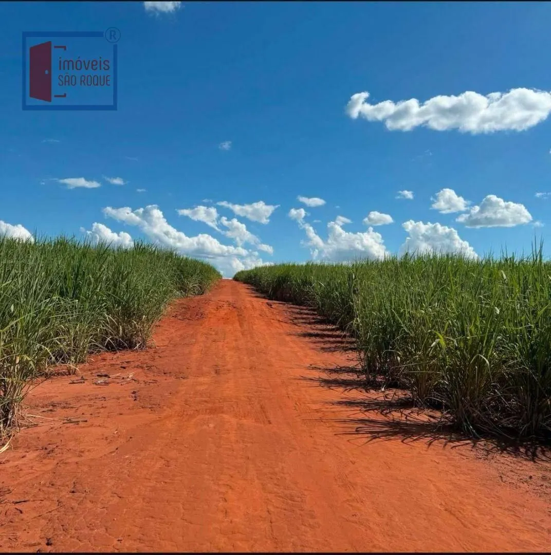 Fazenda à venda de 920 ha em Presidente Prudente, SP, Brasil