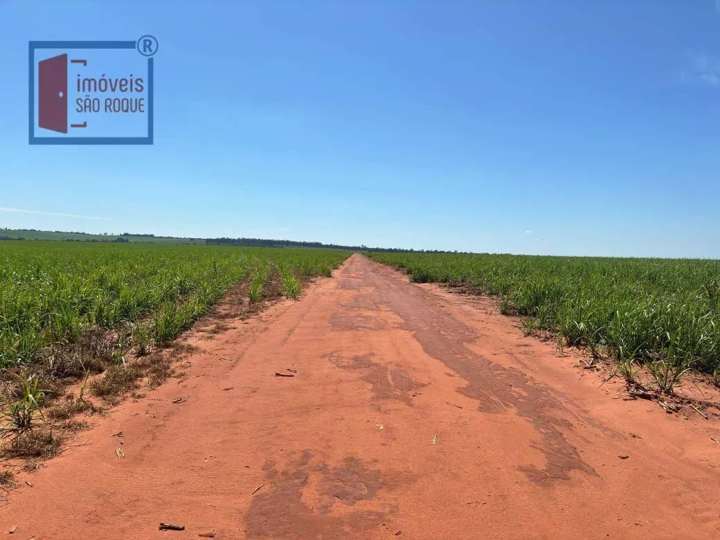 Fazenda à venda de 920 ha em Presidente Prudente, SP, Brasil