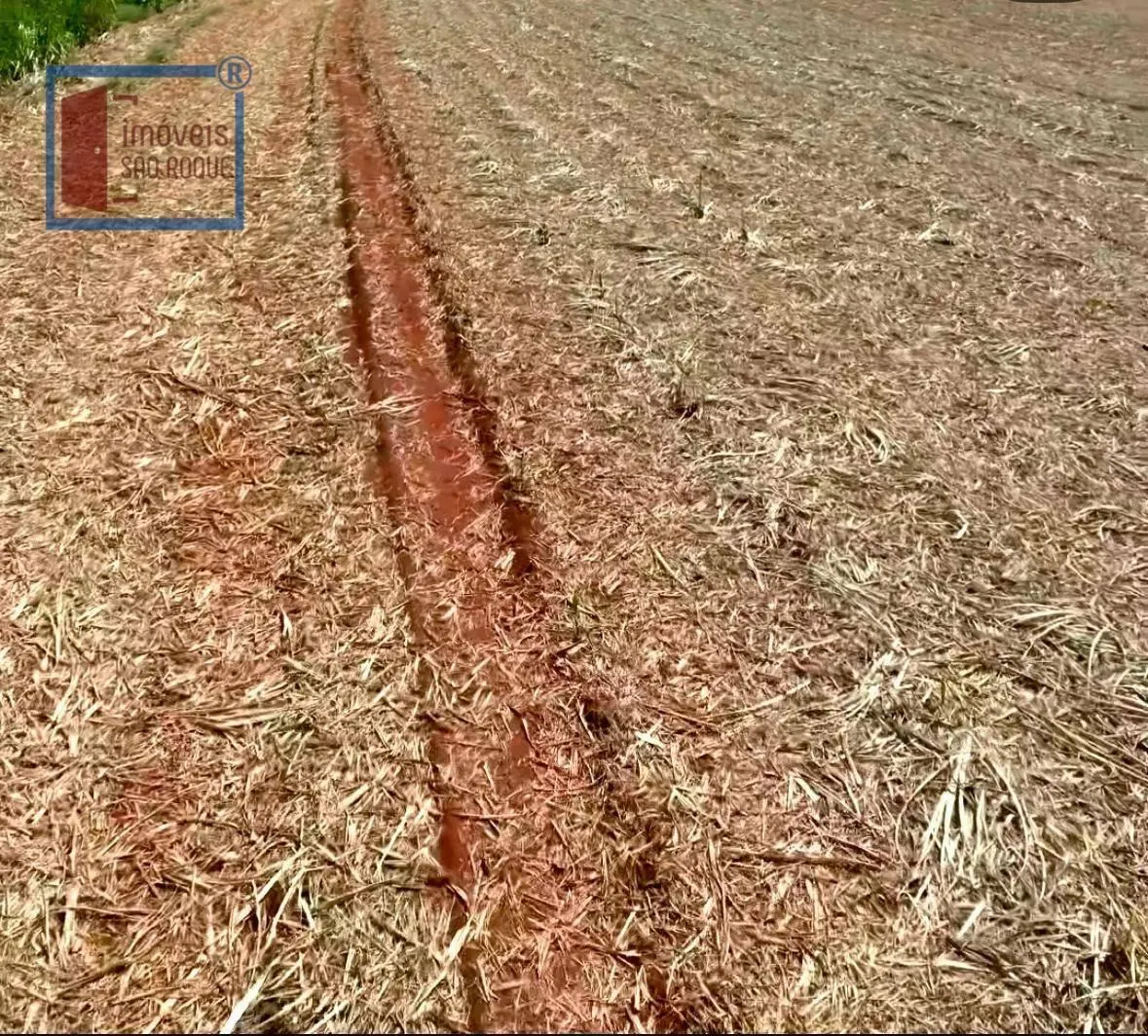 Fazenda à venda de 920 ha em Presidente Prudente, SP, Brasil