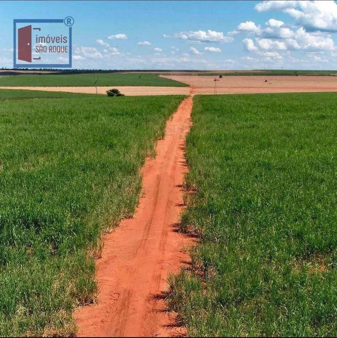 Fazenda à venda de 920 ha em Presidente Prudente, SP, Brasil