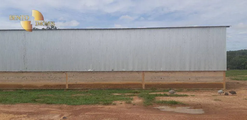 Fazenda à venda de 1.752 ha em Tesouro, MT, Brasil