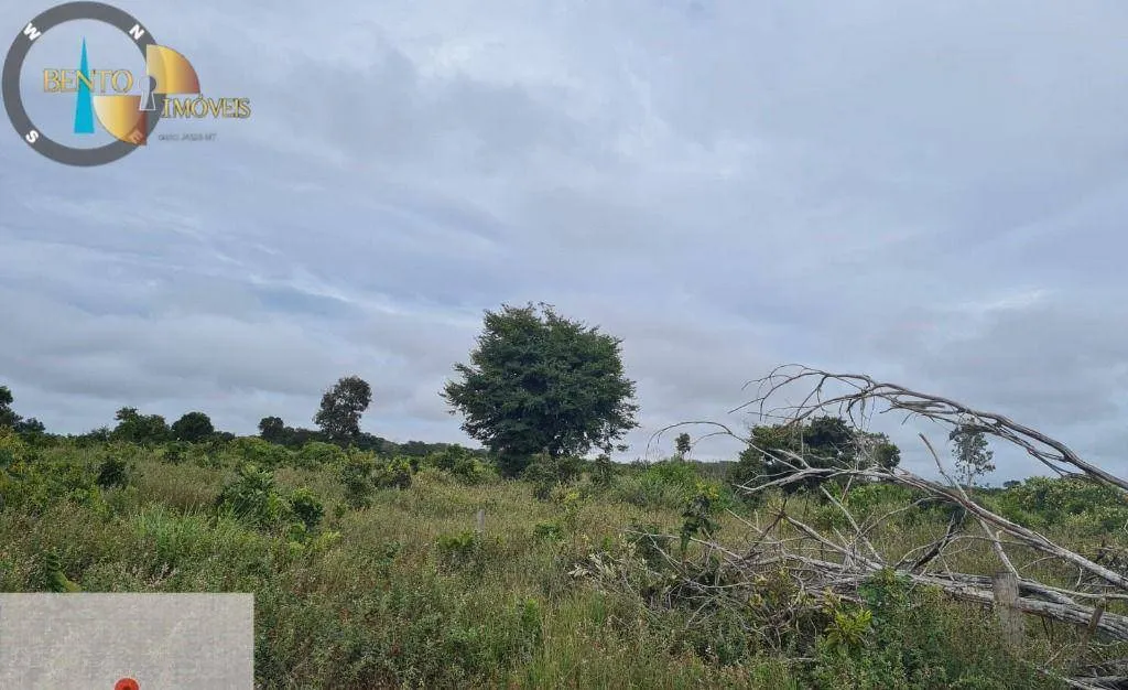 Fazenda à venda de 1.752 ha em Tesouro, MT, Brasil