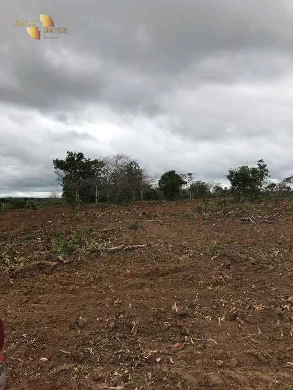 Fazenda à venda de 1.752 ha em Tesouro, MT, Brasil