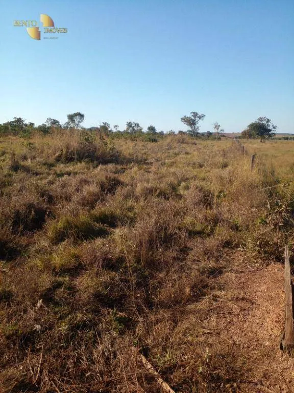 Fazenda à venda de 1.752 ha em Tesouro, MT, Brasil
