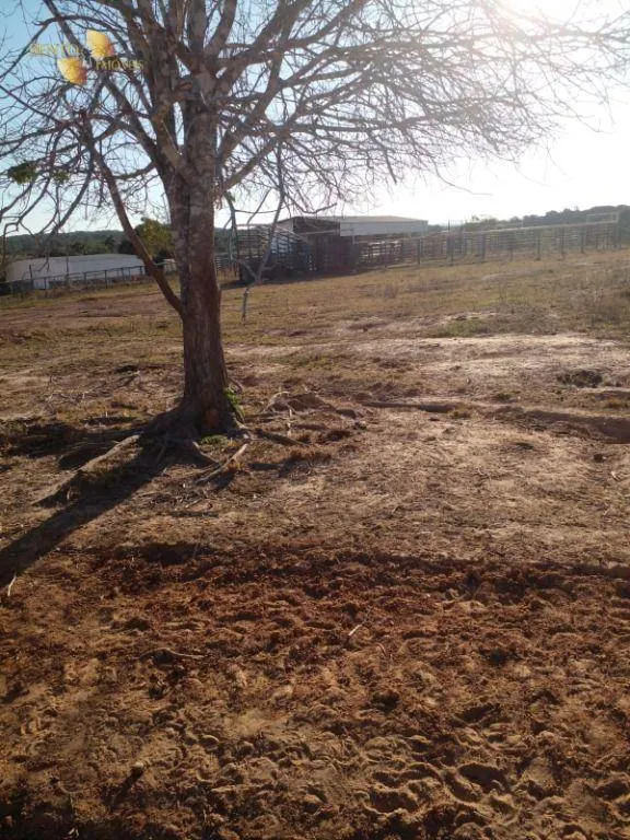 Fazenda à venda de 1.752 ha em Tesouro, MT, Brasil