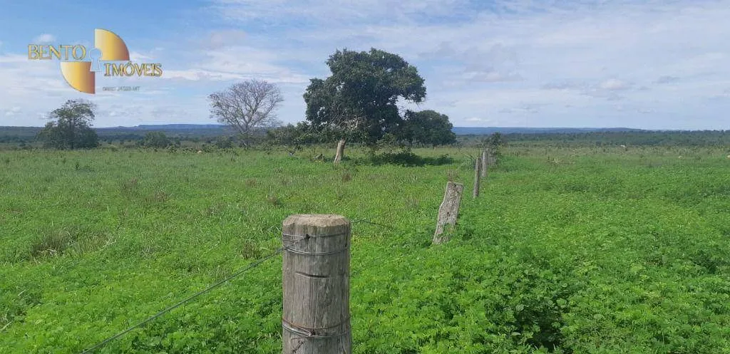 Fazenda à venda de 1.752 ha em Tesouro, MT, Brasil