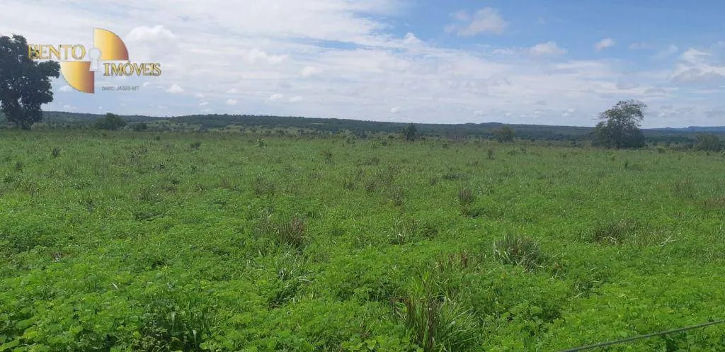 Fazenda à venda de 1.752 ha em Tesouro, MT, Brasil