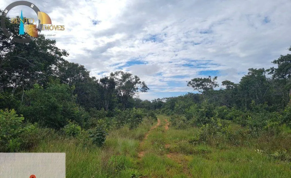 Fazenda à venda de 1.752 ha em Tesouro, MT, Brasil