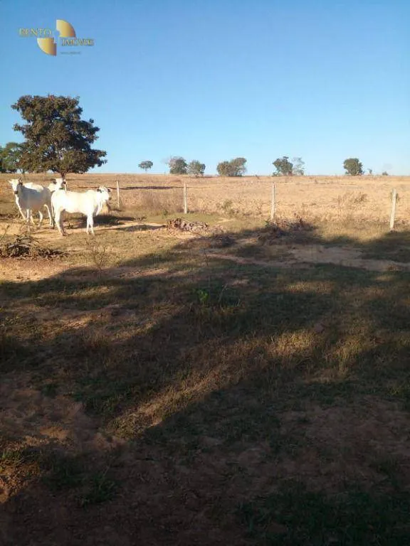 Fazenda à venda de 1.752 ha em Tesouro, MT, Brasil