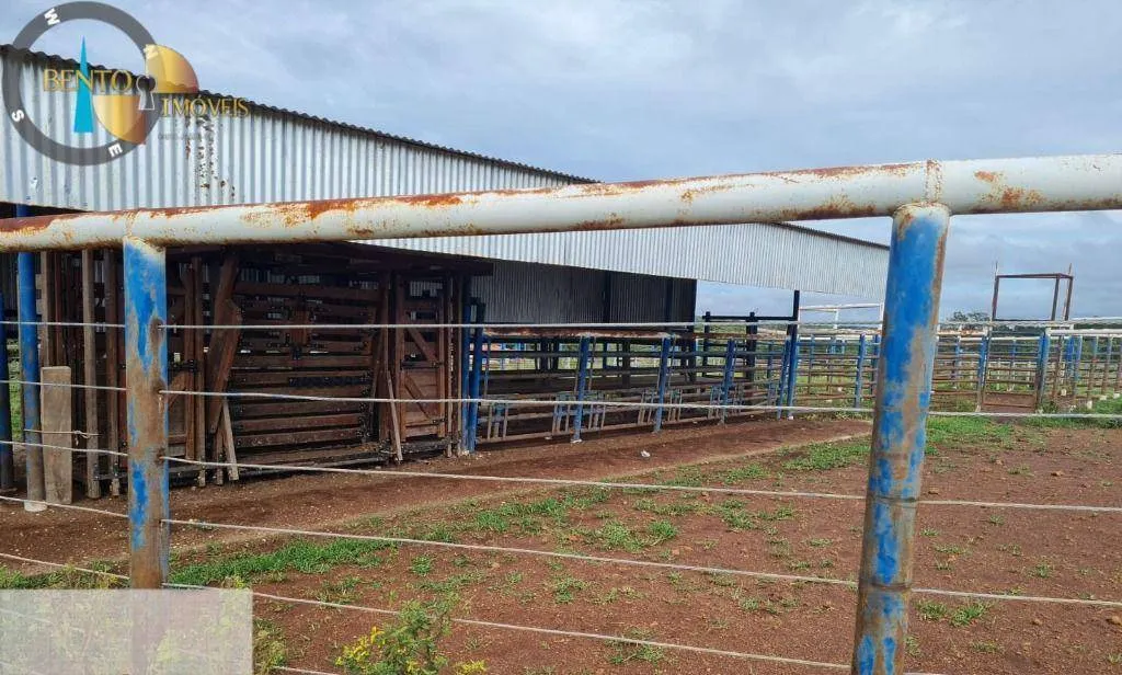 Fazenda à venda de 1.752 ha em Tesouro, MT, Brasil