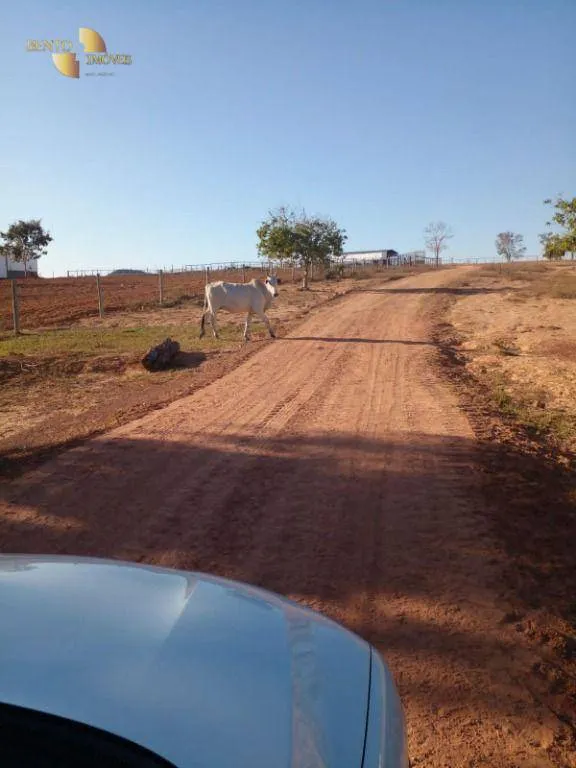 Fazenda à venda de 1.752 ha em Tesouro, MT, Brasil