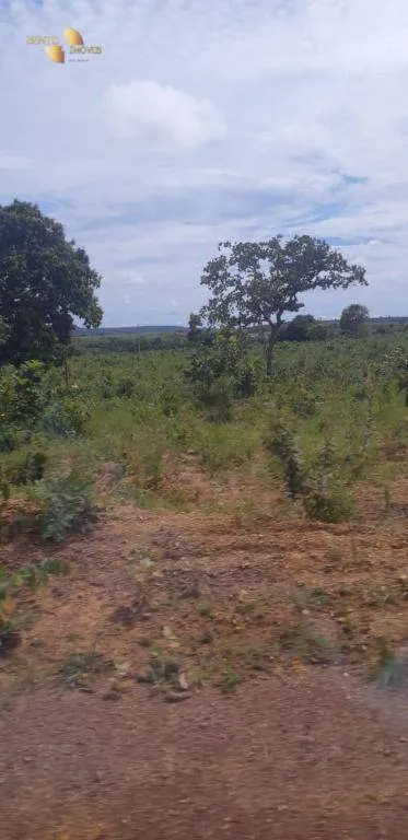 Fazenda à venda de 1.752 ha em Tesouro, MT, Brasil