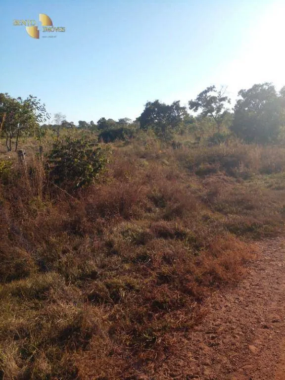 Fazenda à venda de 1.752 ha em Tesouro, MT, Brasil