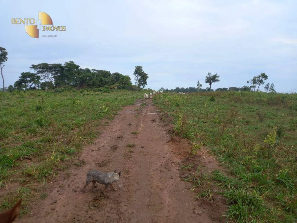 Fazenda à venda de 2.662 ha em Alta Floresta, MT, Brasil