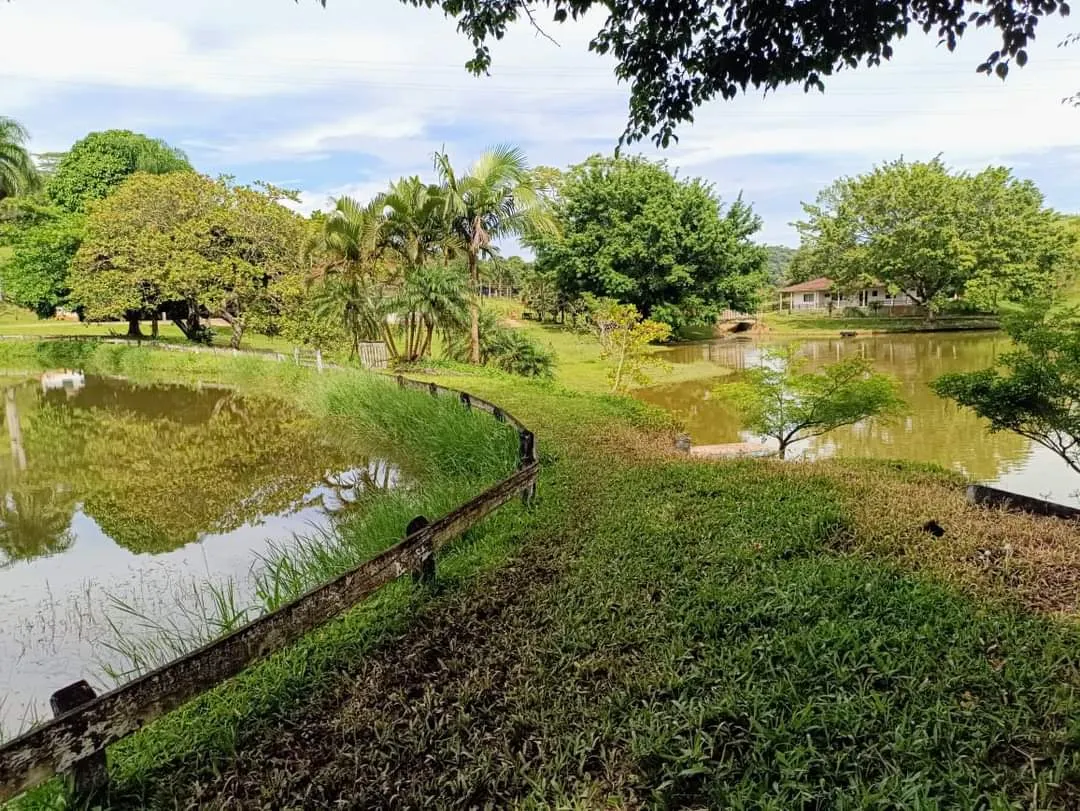 Fazenda à venda de 661 ha em Juquiá, SP, Brasil