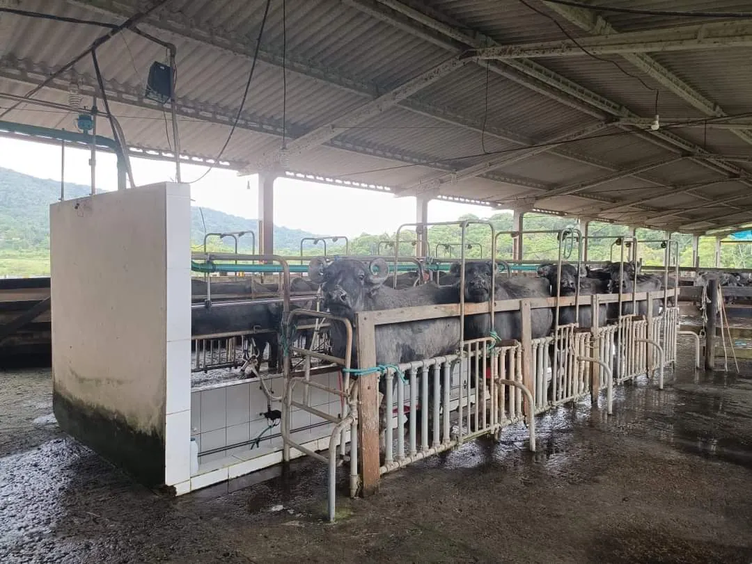 Fazenda à venda de 661 ha em Juquiá, SP, Brasil