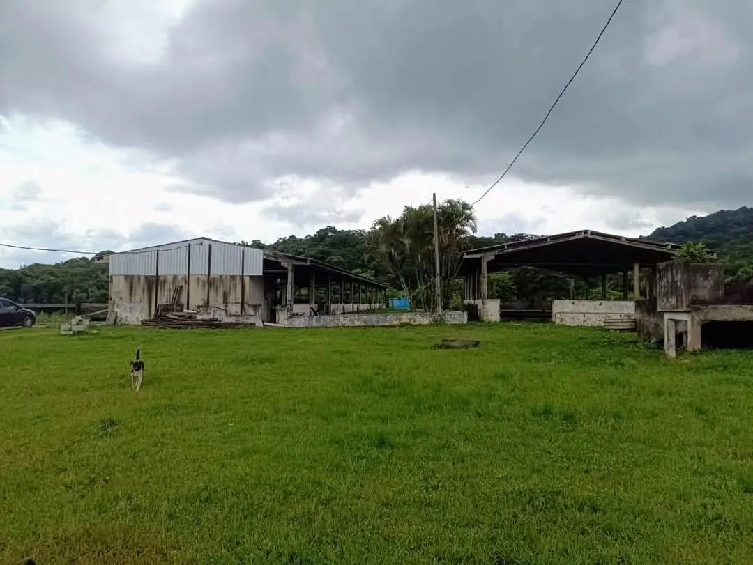 Fazenda à venda de 661 ha em Juquiá, SP, Brasil