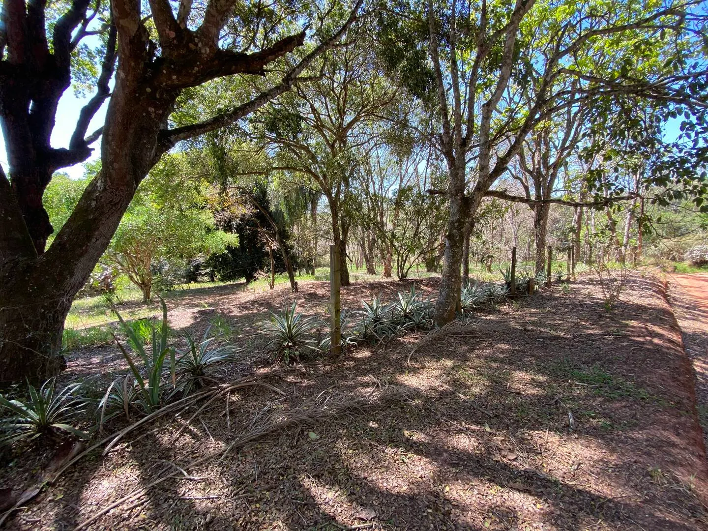 Plot for sale of 2 acres in Piraju, SP, Brazil
