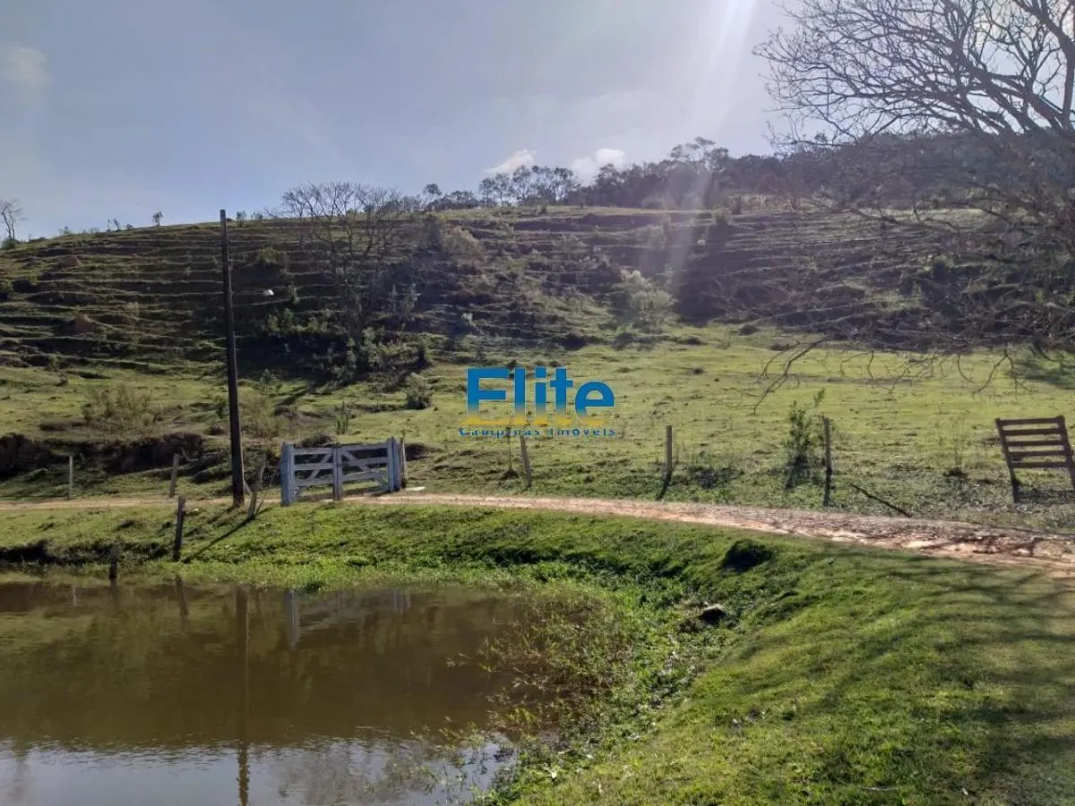 Fazenda à venda de 117 ha em Amparo, SP, Brasil