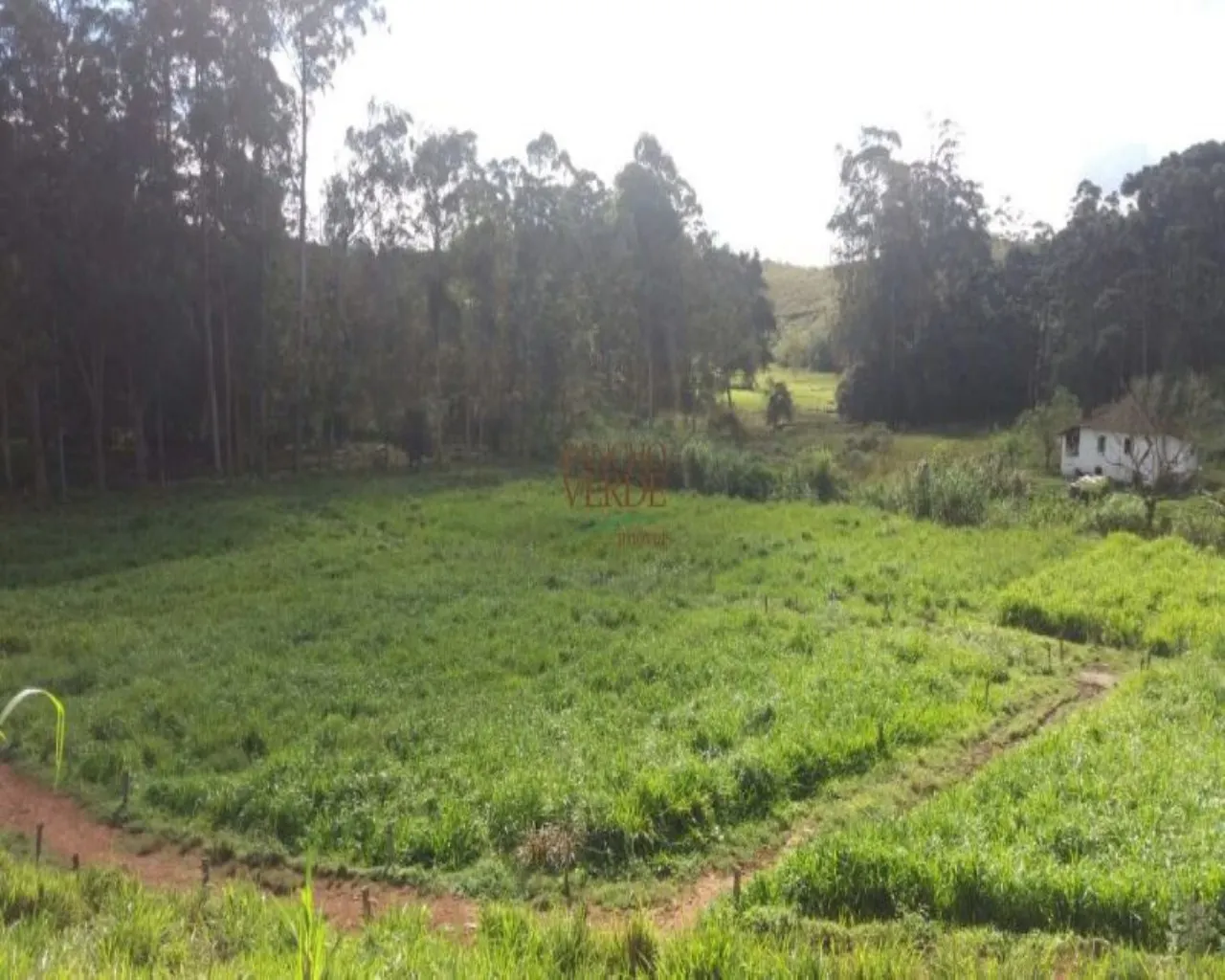 Fazenda à venda de 310 ha em Bocaina de Minas, MG, Brasil