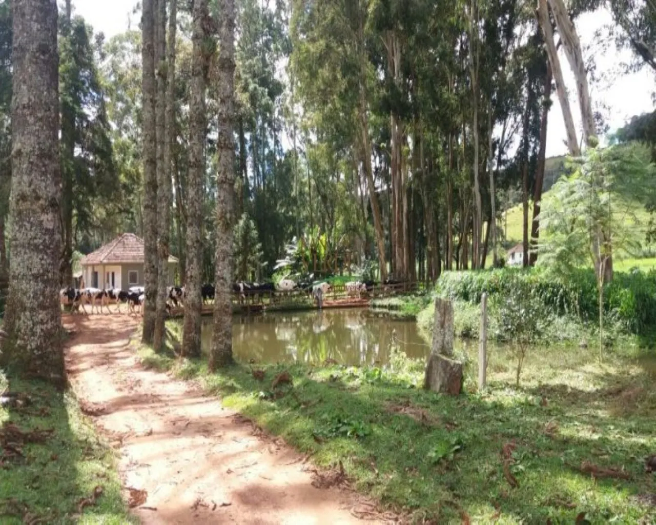 Fazenda à venda de 310 ha em Bocaina de Minas, MG, Brasil