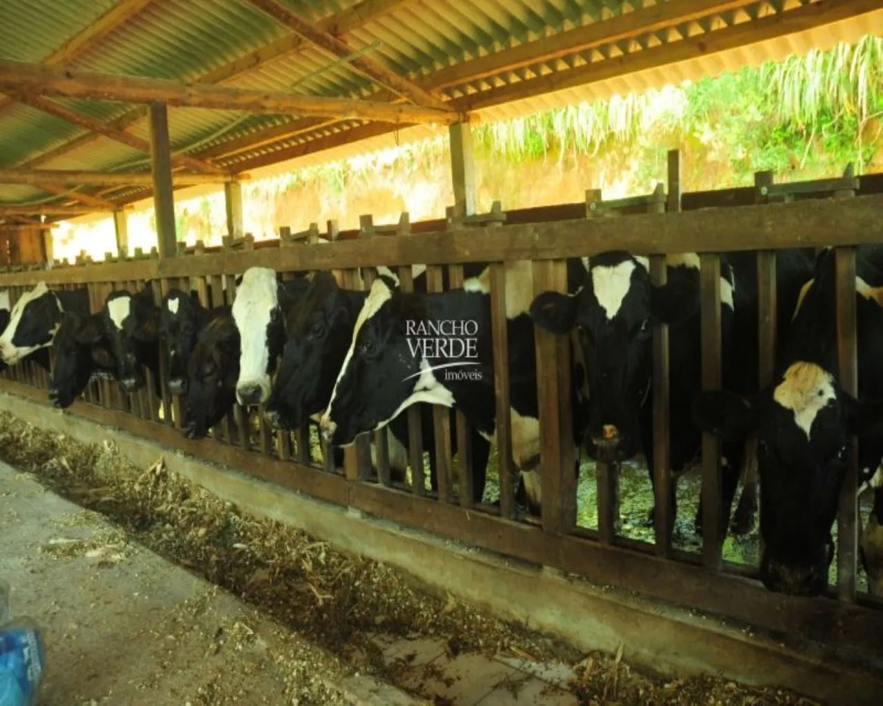 Fazenda à venda de 310 ha em Bocaina de Minas, MG, Brasil