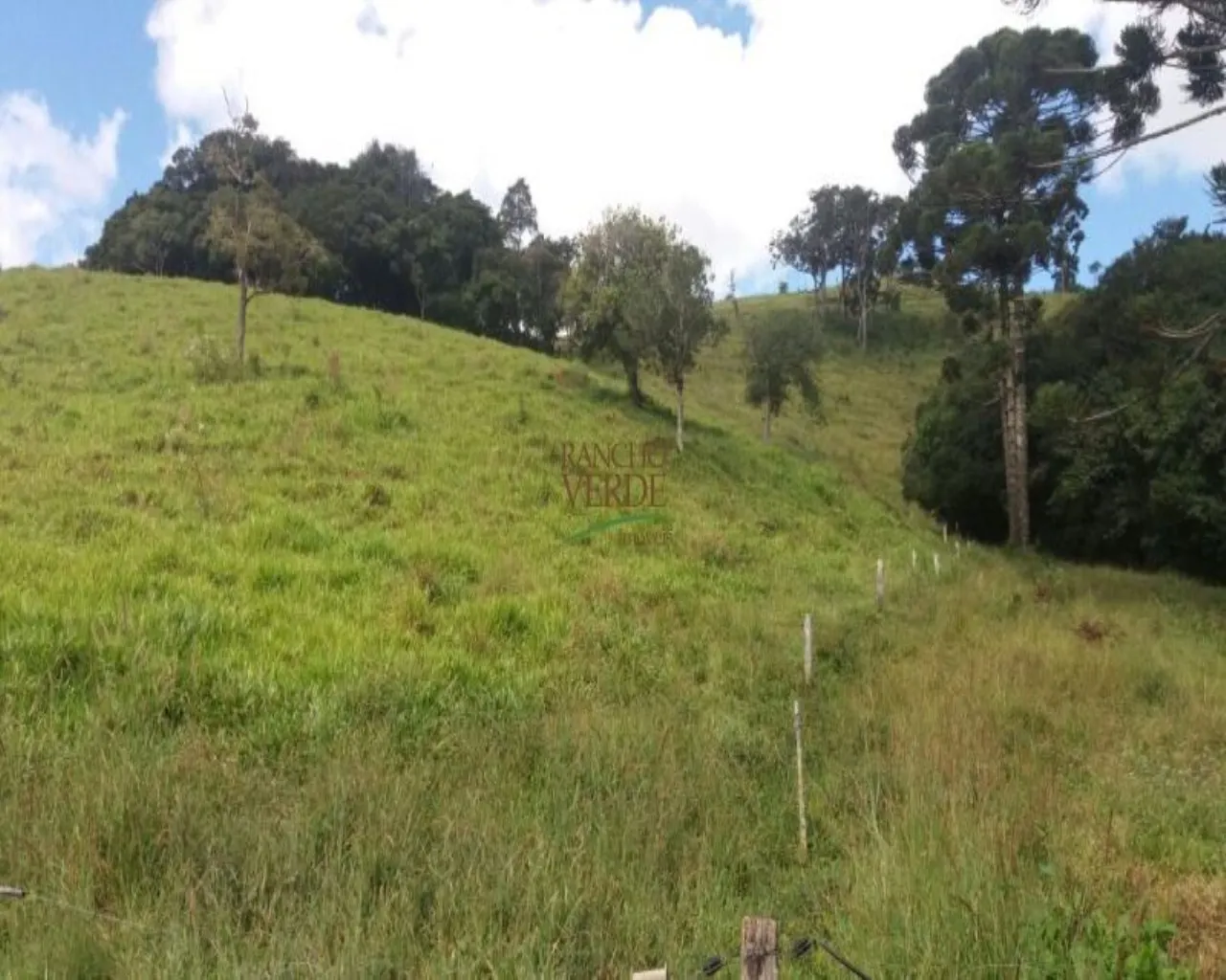 Fazenda à venda de 310 ha em Bocaina de Minas, MG, Brasil