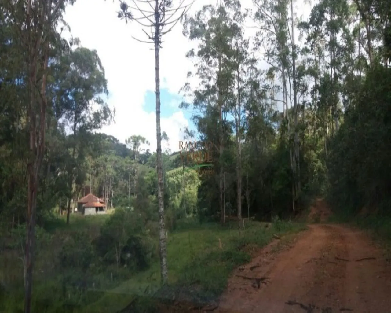 Fazenda à venda de 310 ha em Bocaina de Minas, MG, Brasil