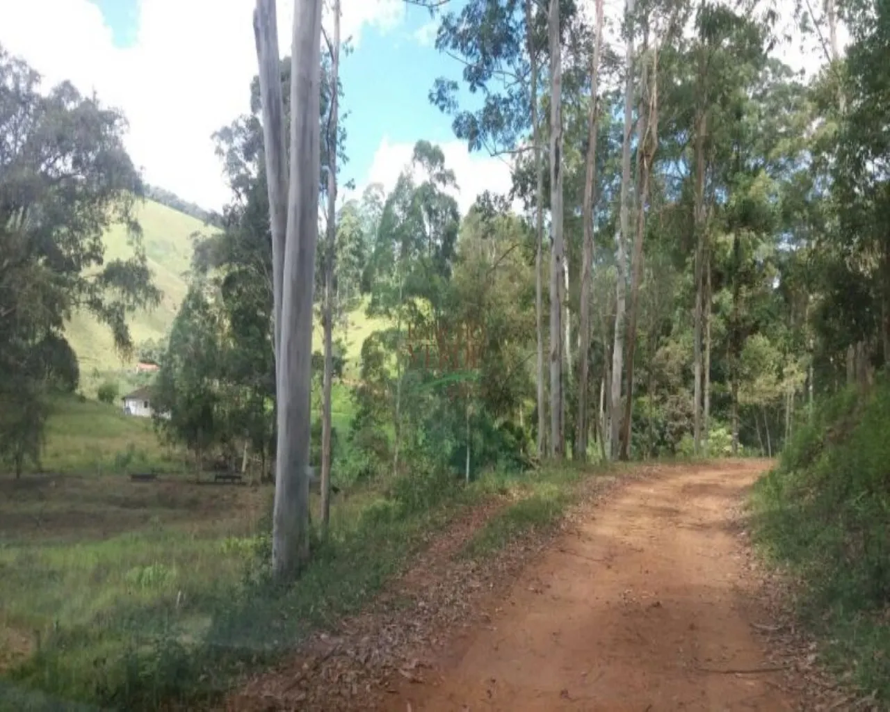 Fazenda à venda de 310 ha em Bocaina de Minas, MG, Brasil