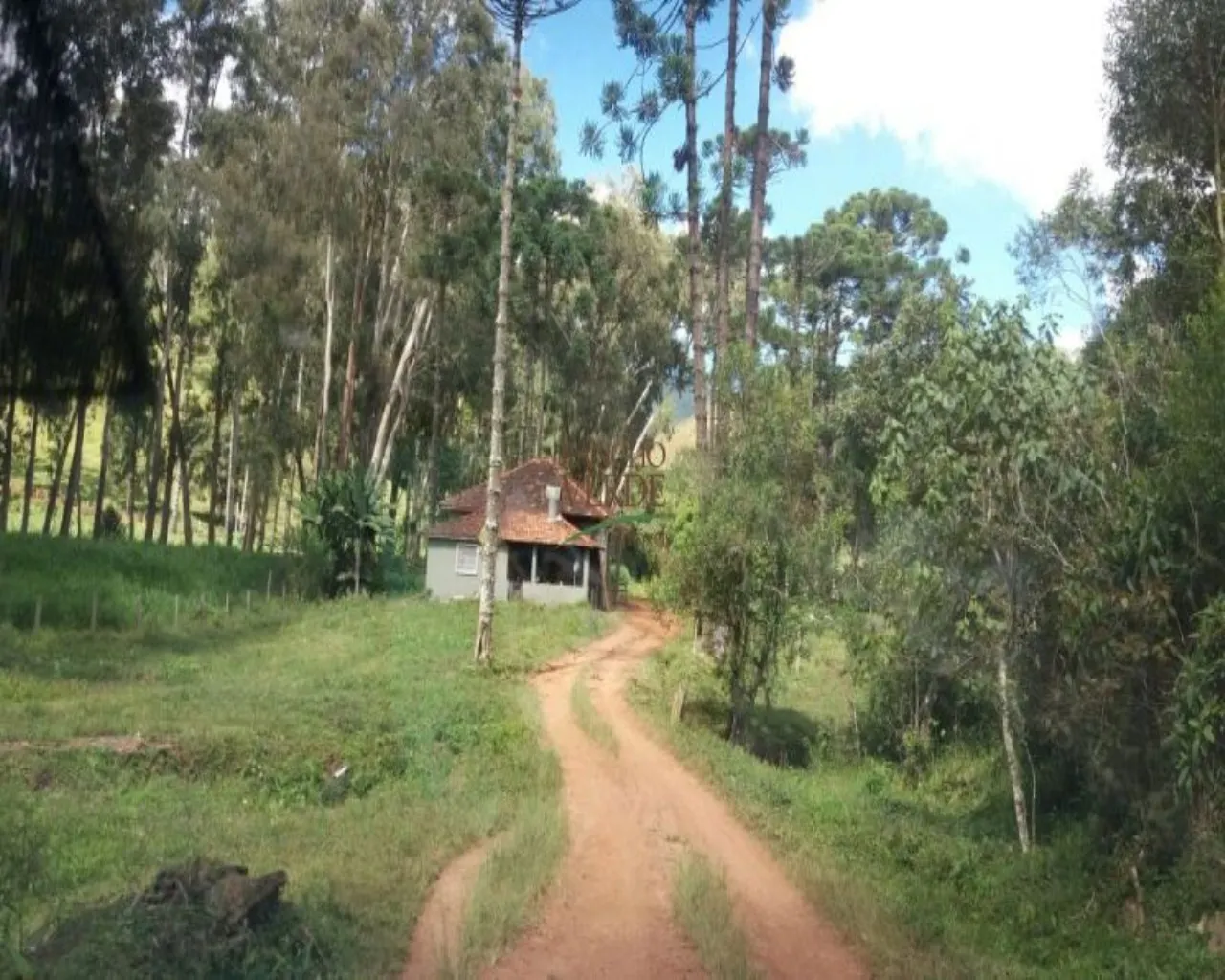 Fazenda à venda de 310 ha em Bocaina de Minas, MG, Brasil