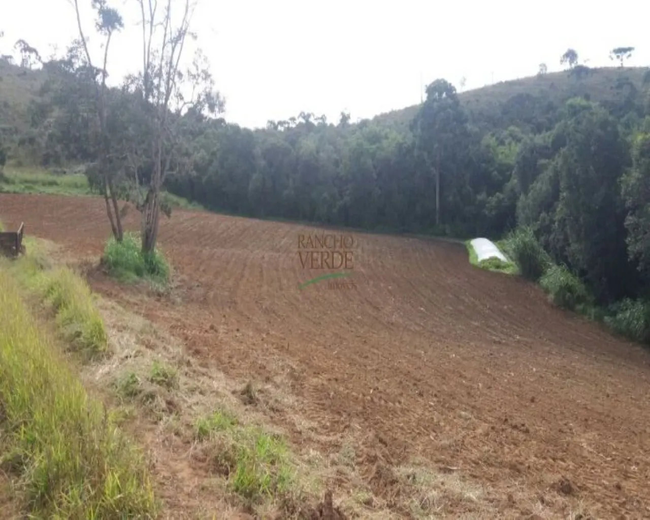 Fazenda à venda de 310 ha em Bocaina de Minas, MG, Brasil