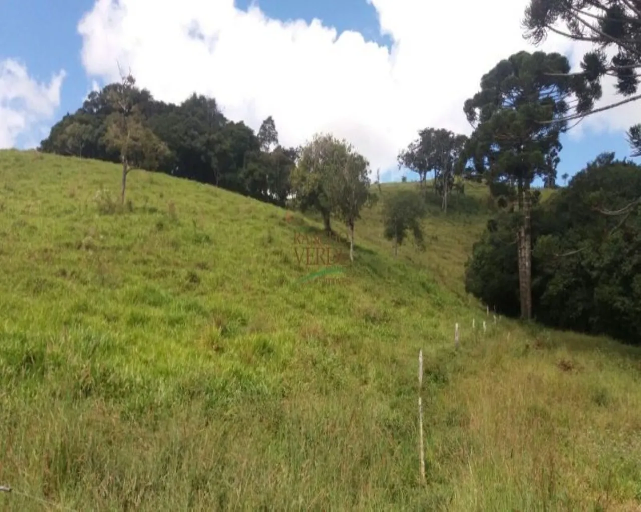 Fazenda à venda de 310 ha em Bocaina de Minas, MG, Brasil