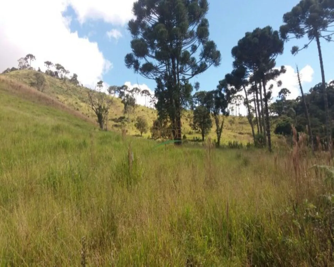 Fazenda à venda de 310 ha em Bocaina de Minas, MG, Brasil