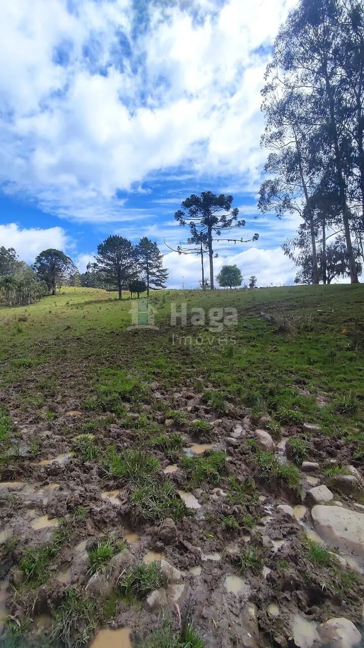 Fazenda à venda de 75 ha em Major Gercino, SC, Brasil