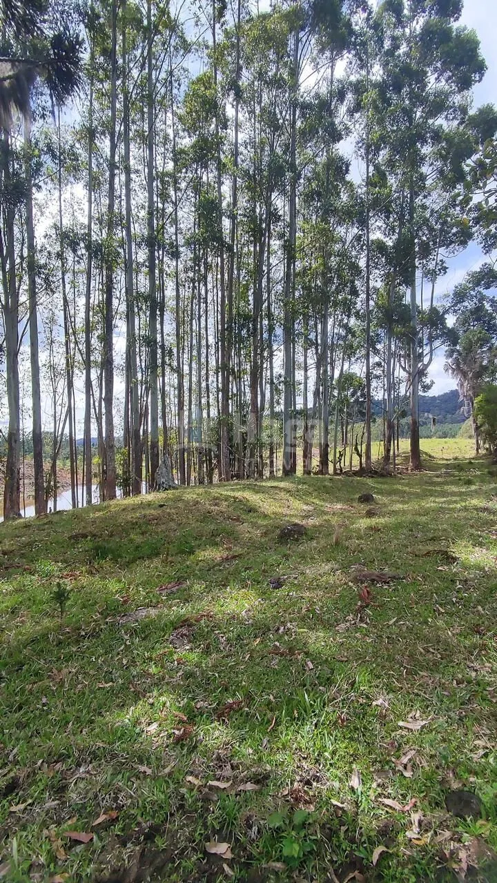 Fazenda à venda de 75 ha em Major Gercino, SC, Brasil