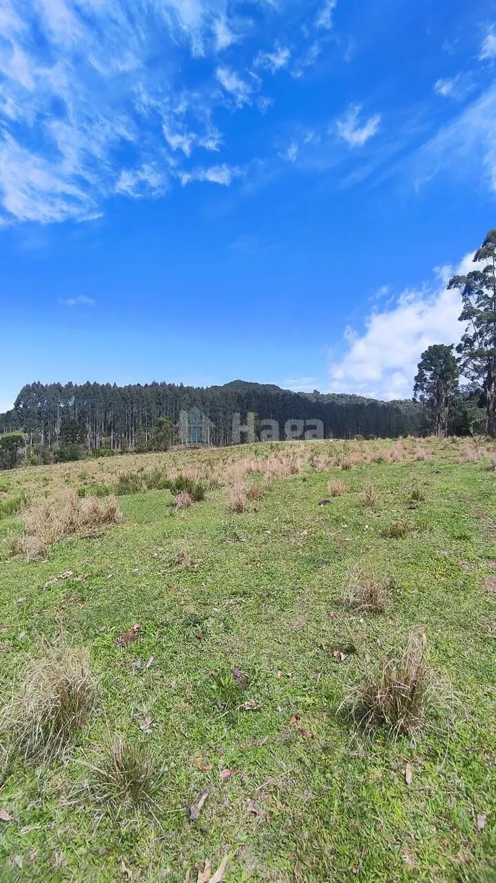Fazenda à venda de 75 ha em Major Gercino, SC, Brasil