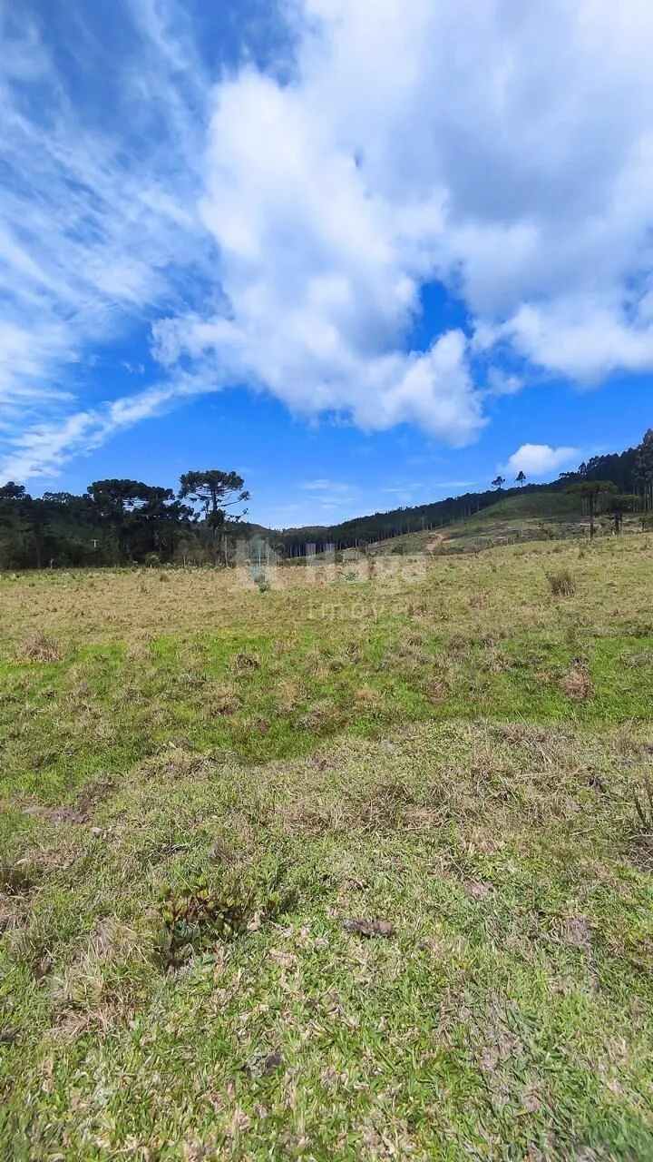 Fazenda à venda de 75 ha em Major Gercino, SC, Brasil