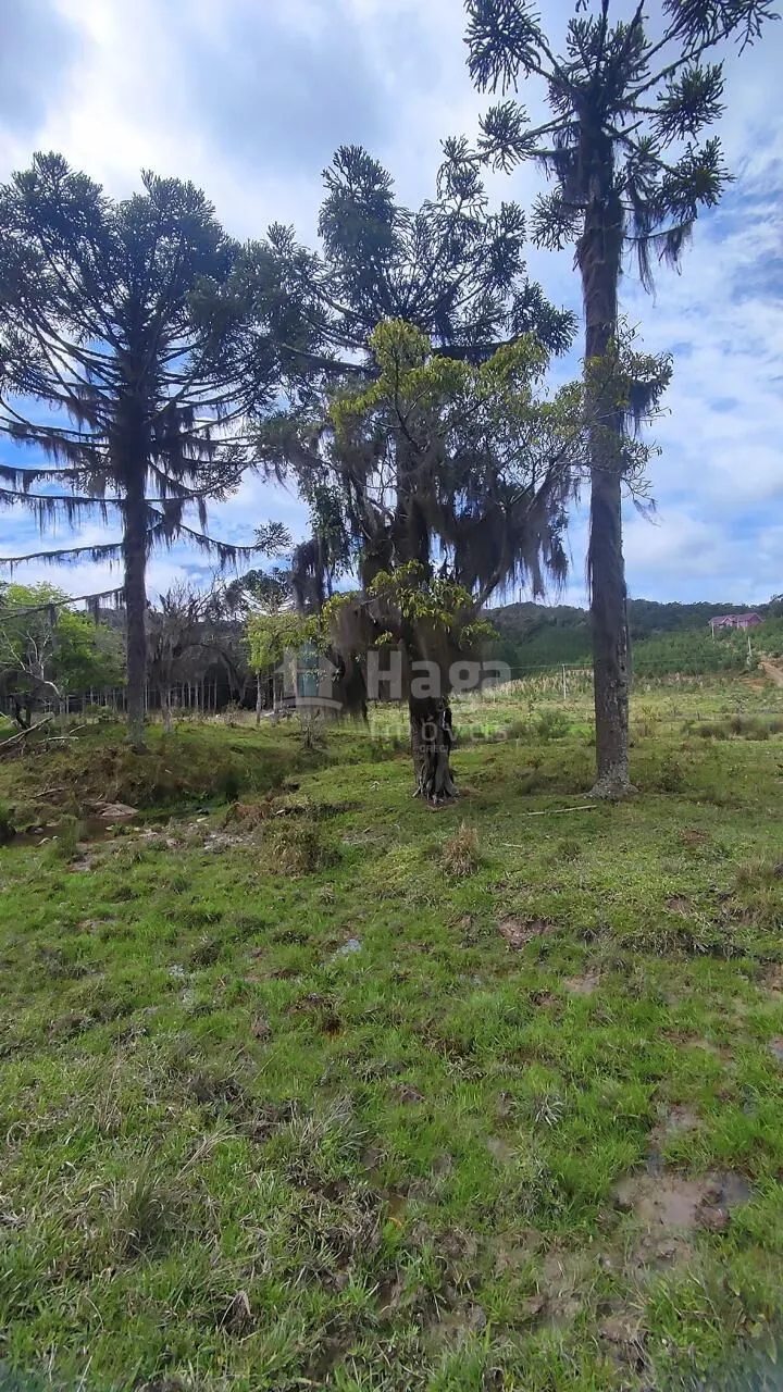 Fazenda à venda de 75 ha em Major Gercino, SC, Brasil